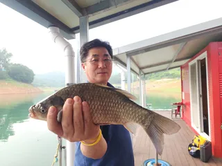 돌감낚시터 붕어조황입니다.