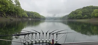 신매낚시터 5월 6일조황