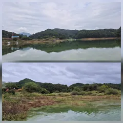 청풍신리낚시터 조황입니다