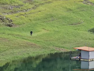 청풍 실리곡낚시터 조황입니다.