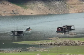 솔낚시터 사짜 및 허릿급 조황 소식입니다.