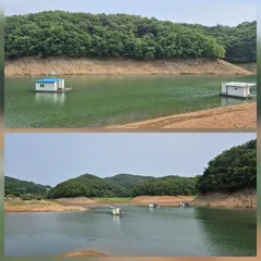 청풍신리낚시터 주말조황입니다