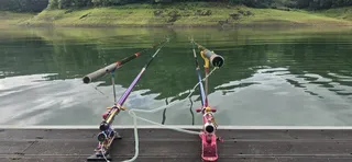 신매낚시터 8월 19일 조황