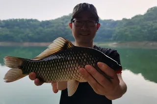 이제사 가을의 문턱을 넘나 봅니다