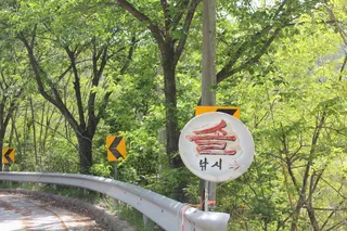 솔낚시터 사짜 조황소식입니다.