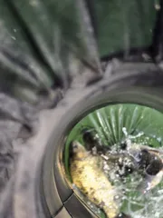 목벌 바람과함께