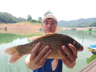 돌감낚시터 4짜 붕어조황입니다.