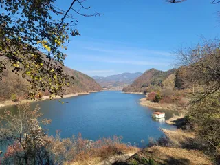 청풍 실리곡낚시터 42cm 조황입니다.