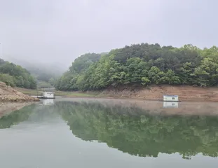 청풍신리낚시터 주말조황입니다