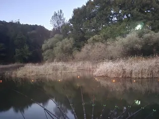 청풍 한버들 조황입니다