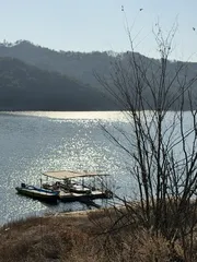 솔낚시터 조황 소식입니다.