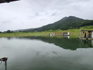 청풍 한버들 조황입니다