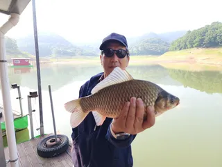 돌감낚시터 붕어조황입니다.
