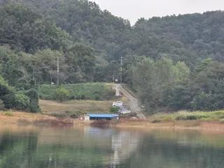 청풍 한버들 조황입니다