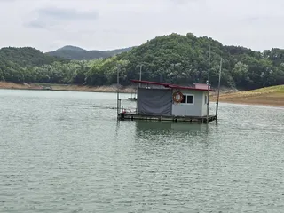 청풍 한버들 조황입니다