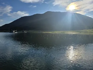 솔낚시터 사짜 및 허릿급 월척 조황소식입니다.