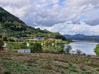 용곡 김기호 낚시터 조황정보 입니다