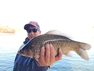 돌감낚시터 4짜 조황입니다.