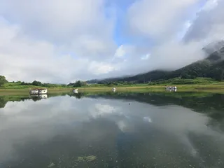 청풍 한버들 조황입니다