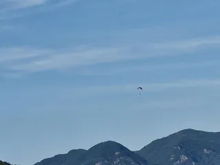 김기호 낚시터 주말 조황정보