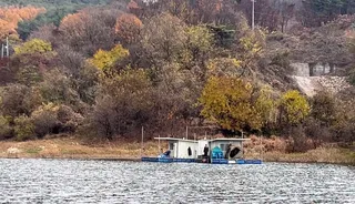 후산낚시터 조황정보