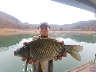 돌감낚시터 4짜 조황입니다.