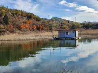 청풍 실리곡낚시터 조황입니다.