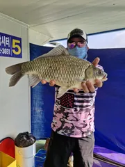 사오리 낚시터 조황정보