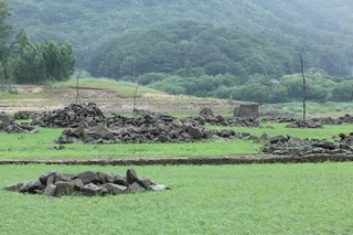 솔낚시터 오름수위 조황입니다.