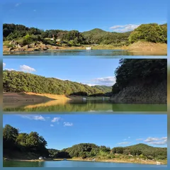 청풍신리낚시터 주말조황입니다