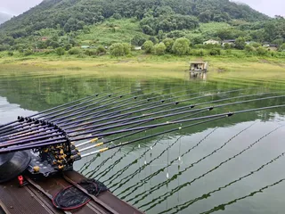 용곡 김기호 낚시터 조황정보 입니다
