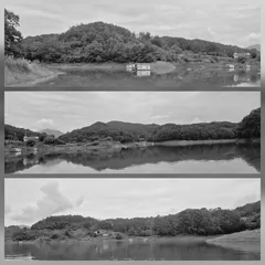 청풍신리낚시터 조황입니다