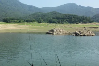 솔낚시터 사짜 조황 소식입니다.