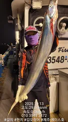 제주에이스호!!(10월12일)제주갈치조황입니다010 35483472~010 3860 3472{9.77톤22인승12석운)전좌석봉돌투등기장착 청결은보장