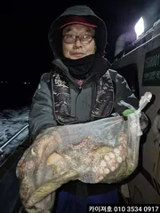 29일 야간 돌문어 조황!