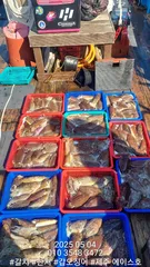 제주에이스호!!(5월4일)심해갑오징어조황입니다010 35483472~010 3860 3472{9.77톤22인승16석운영