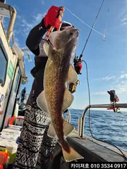 30일 왕대구 오늘도 만쿠르!