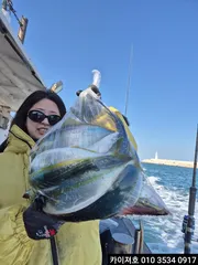 29일 방어 삼치 대박 일오전 모집중