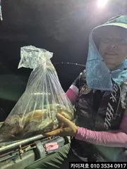 22일)오징어 조황~!!