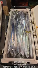 제주에이스호!!(12월9일)제주갈치조황입니다010 35483472~010 3860 3472{9.77톤22인승12석운)전좌석봉돌투등기장착 청결은보장