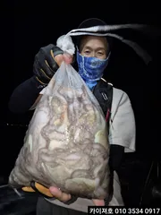 28일 야간 돌문어 타작 조황!