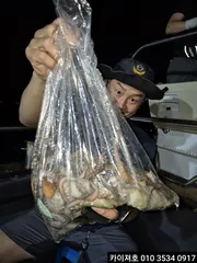 14일 야간 돌문어조황