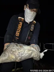 2일 야간 돌문어 조황 입니다