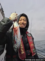 13일 오후 삼치방어 조황