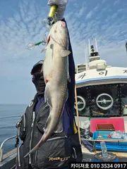 금요일 왕대구 여유자리