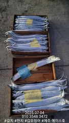 제주에이스호!!(7월3일)갈치조황입니다010 35483472~010 3860 3472{9.77톤22인승12석운영 봉돌투승기장착