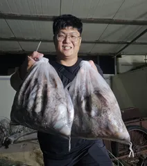 30일)야간 돌문어 조황 입니다~!!