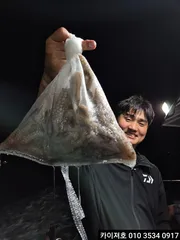 카이져호 돌문어 수요일 부터 쭉 모집중