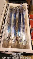 제주에이스호!!(7월21.22일)북제주권갈치조업조황입니다010 35483472~010 3860 3472{9.77톤22인승14석운영