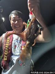 6일 야간 돌문어 조황 입니다